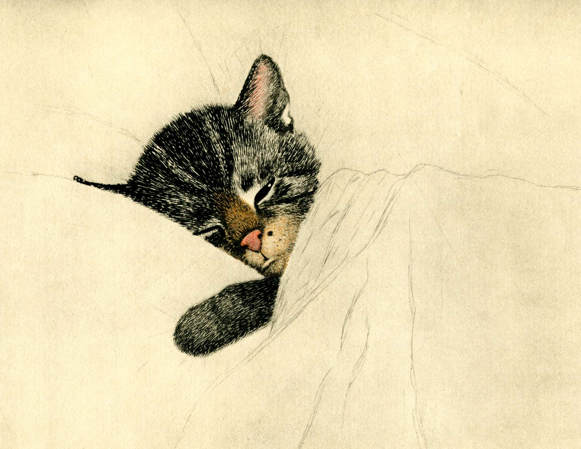 Chessie – C&O Historical Society